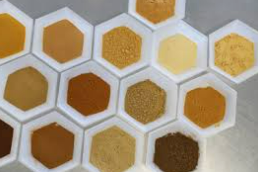 植物提取物市場規模與主要應用領域|富恒生物
