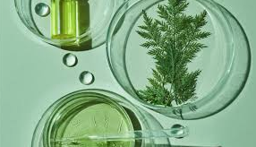 化妝品原料包括哪些|富恒生物