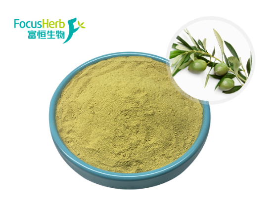 橄欖葉提取物的制作工藝流程|富恒生物